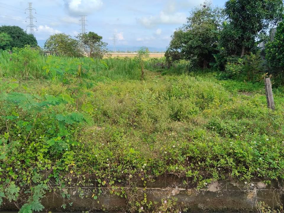 Đất thổ cư 100m² tại Thuận Minh, Hàm Thuận Bắc - Giá 1.3 tỷ, gần trường học!