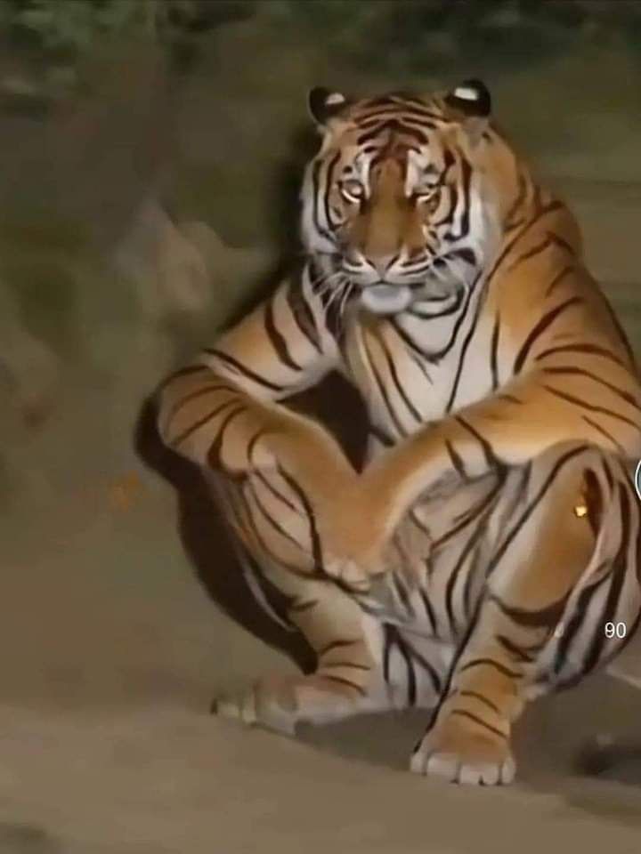 Đất ở tại Nam Phước 133.6m² giá 400 triệu - Cơ hội đầu tư tuyệt vời!