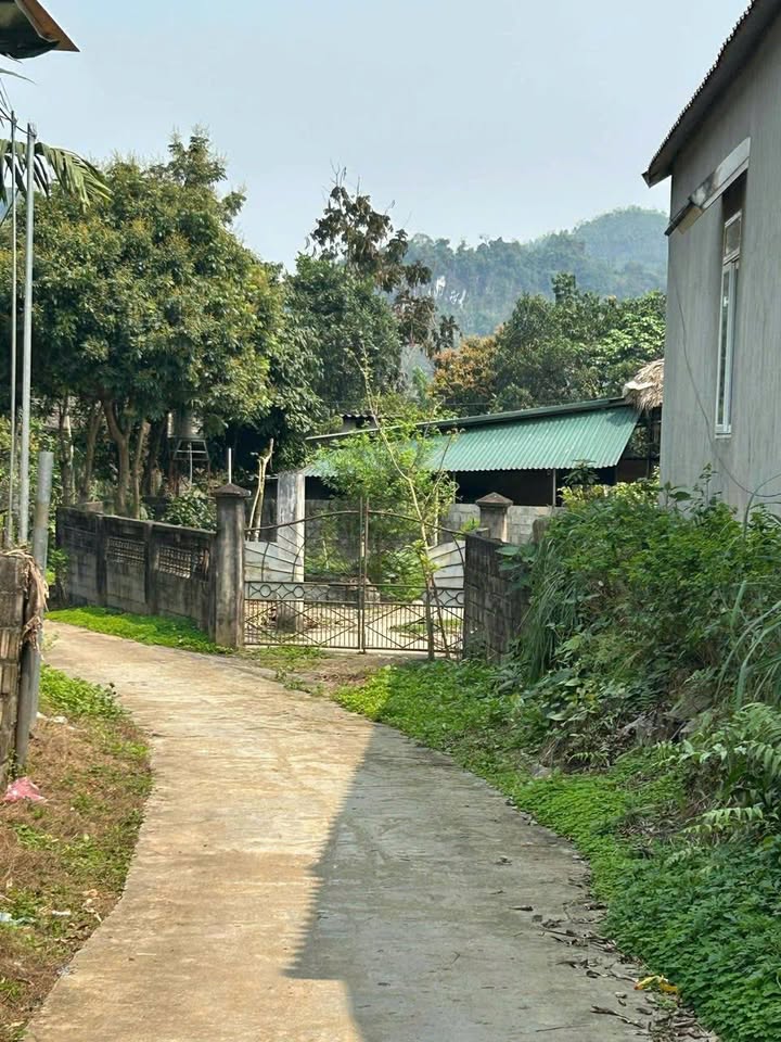 Đất thổ cư 228m² tại xã Xuân Giang, giá thỏa thuận - Cơ hội đầu tư hấp dẫn!