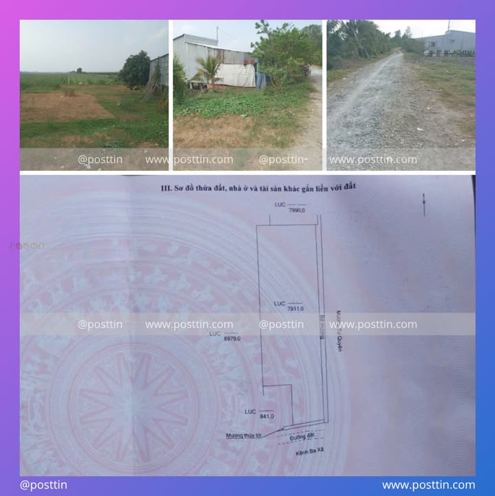 Đất nông nghiệp ấp Vĩnh Hạnh, An Giang 7911m² giá 2 tỷ - Đầu tư sinh lời ổn định!