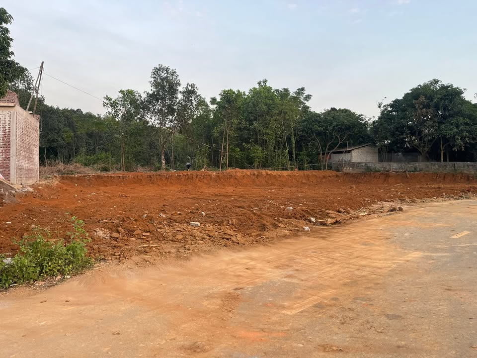 Đất thổ cư Nho Quan 625m² giá thương lượng - View đồng tuyệt đẹp!