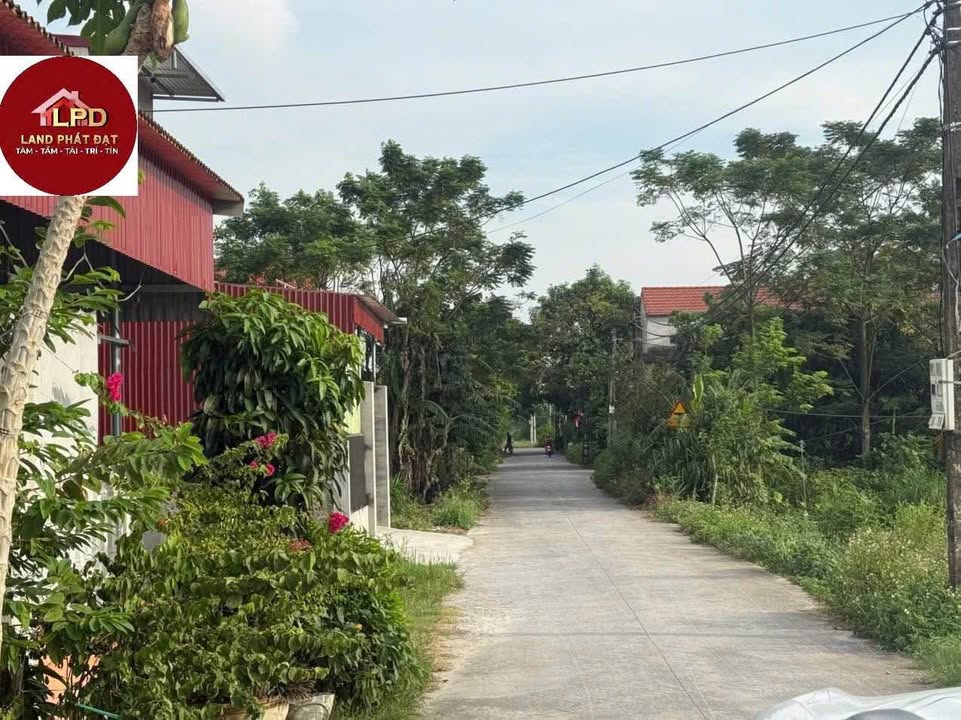 Lô đất đẹp Liên Sơn, Gia Viễn 165m² - Tiềm năng tăng giá cao!