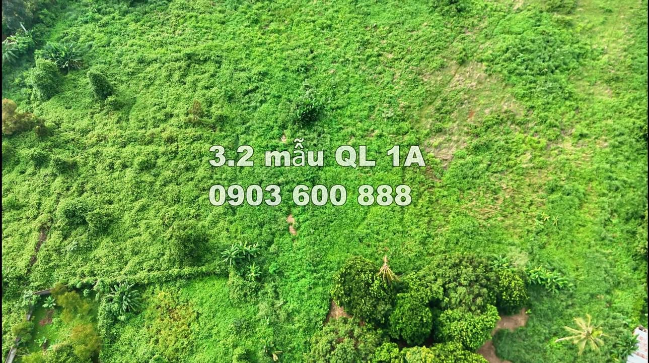 Đất mặt tiền Quốc lộ 1A, Hàng Gòn, 32.000m² giá chỉ 70 tỷ - Cơ hội đầu tư vàng!