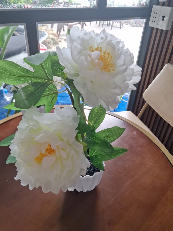 Đất nền 104m² xã Xuân Đông, huyện Chợ Gạo chỉ 229 triệu - Cơ hội đầu tư tuyệt vời!