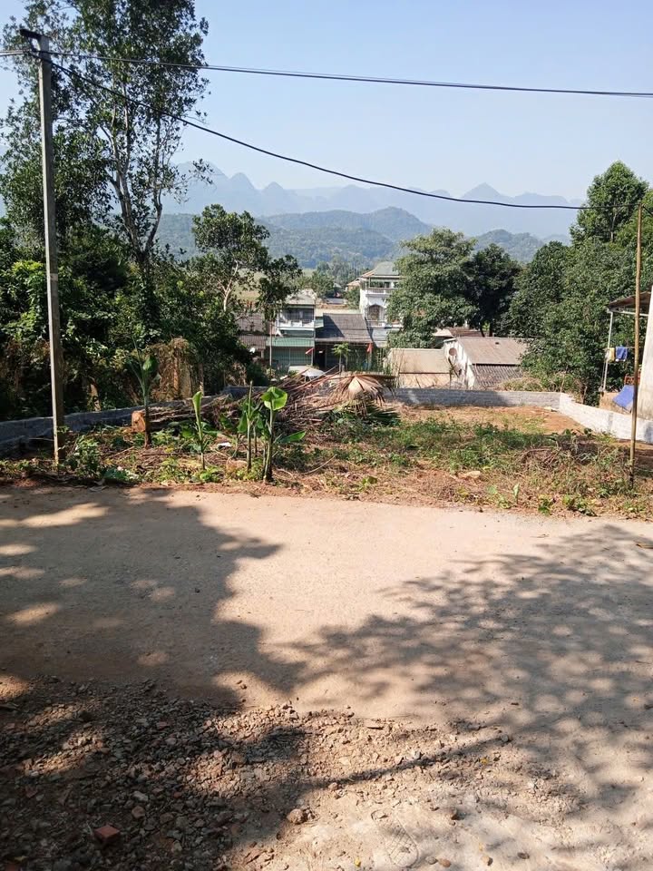 Đất thổ cư Phong Phú 120m² giá chỉ 300 triệu - Cơ hội đầu tư hiếm có!