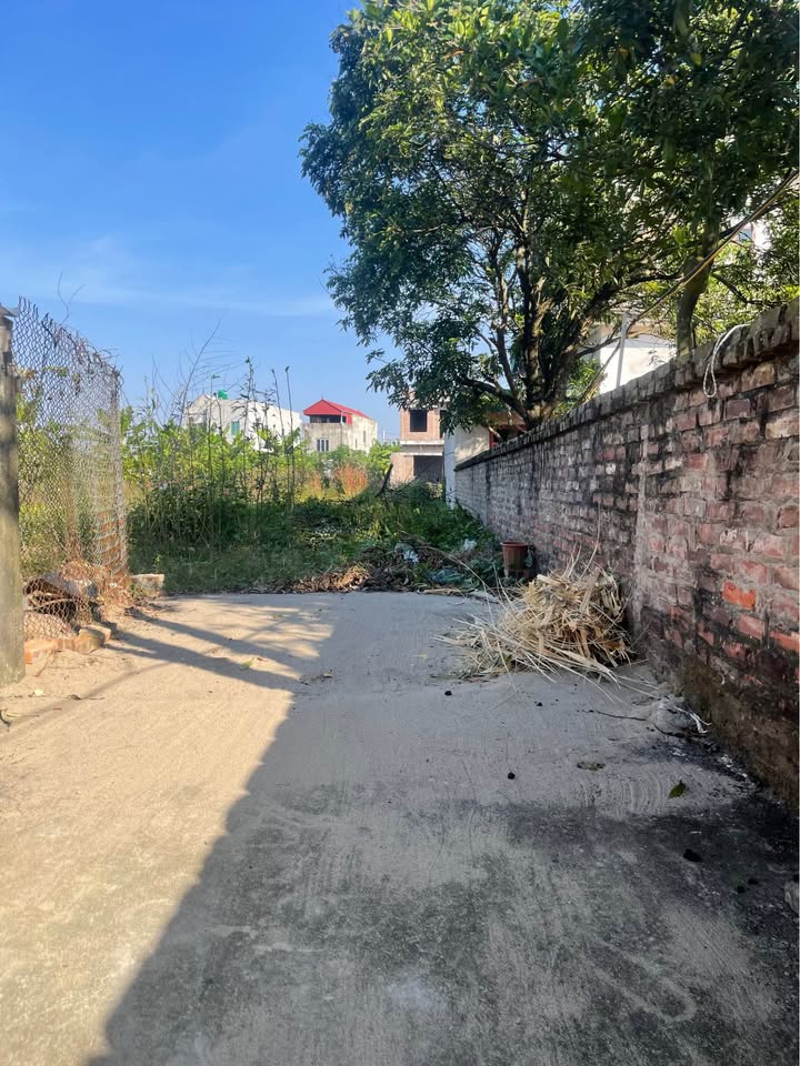 Đất nền An Bình, Thuận Thành 80m² giá 1 tỷ - Đầu tư sinh lời cao!