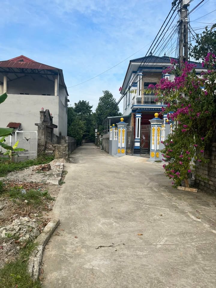 Đất nền 110m² tại Phúc Thắng, Hiệp Hoà giá chỉ 800 triệu - Cơ hội đầu tư sinh lời!