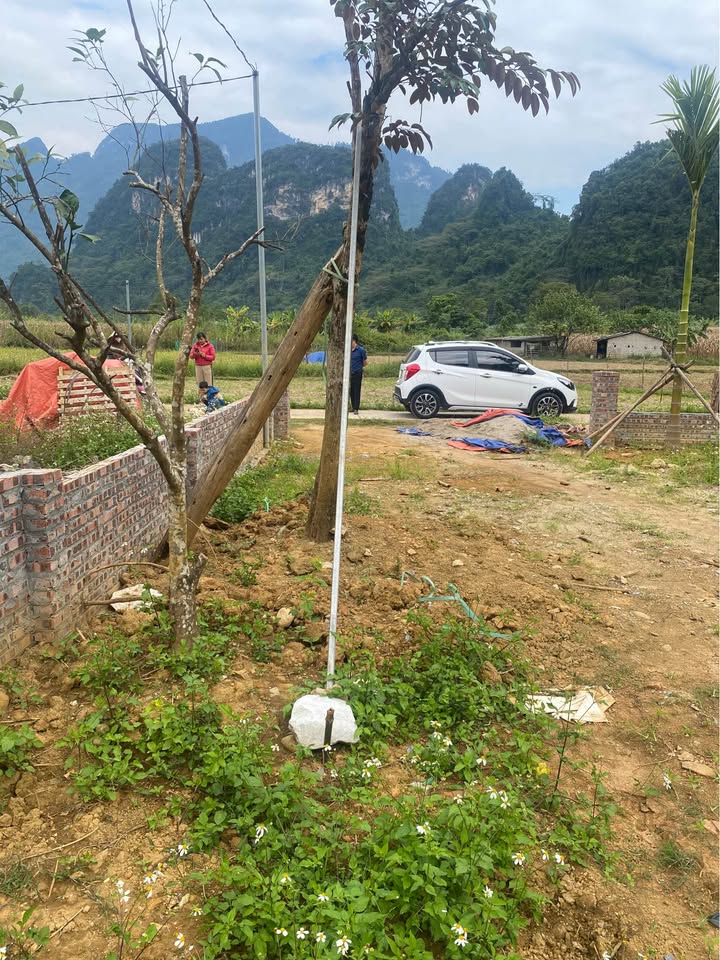 Đất nền Phong Quang, Vị Xuyên 300m² giá chỉ 390 triệu - Đầu tư sinh lời ngay!