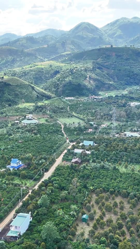 Đất thổ cư 168m² đường Nhựa, xã Lộc Thành giá chỉ 550 triệu - Cơ hội đầu tư tuyệt vời!