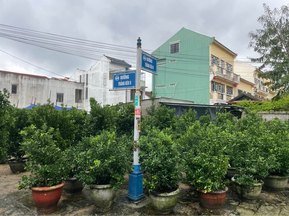 Đất xây villa Hội An 221m² giá 8 tỷ - Cơ hội đầu tư tuyệt vời!