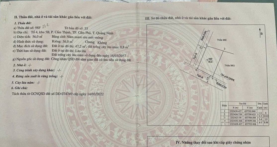 Đất nền Cẩm Thịnh - 56m² giá chỉ 600 triệu - Sổ đỏ chính chủ!