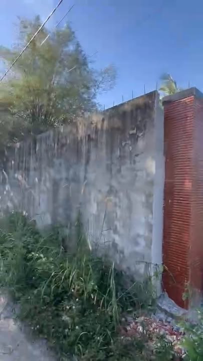 Đất nền 3000m² phường Long Hoa, Hòa Thành - Giá chỉ 1.2 tỷ VND, cơ hội vàng đầu tư!