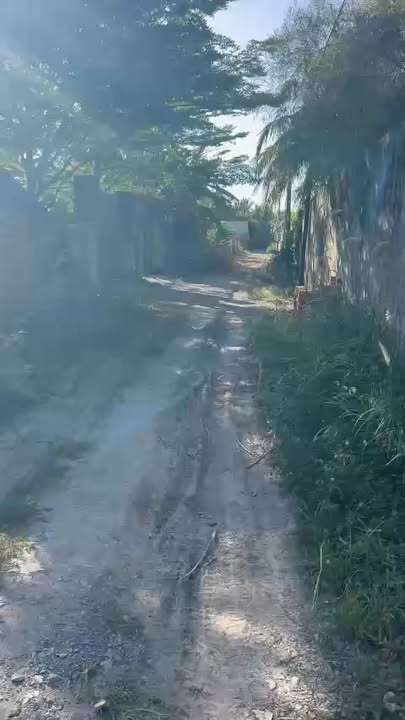 Đất nền 3000m² tại Khu phố Trường Thọ, Tây Ninh - Đầu tư sinh lời ngay!