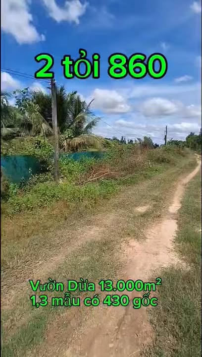 Đất vườn Dừa 13.000m² tại Tây Ninh giá 2.86 tỷ - Cơ hội đầu tư hấp dẫn!