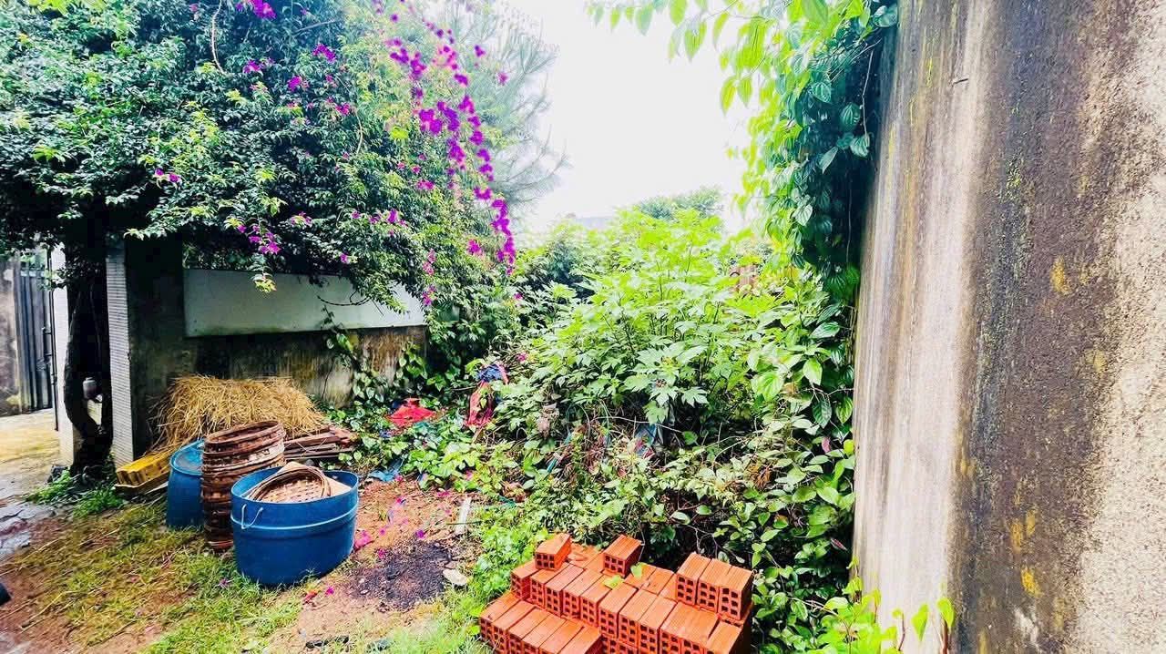 Lô đất đẹp hẻm 06 Lương Ngọc Quyến, P. Hội Phú, Gia Lai 100m² giá 1.45 tỷ - Cần ra nhanh!