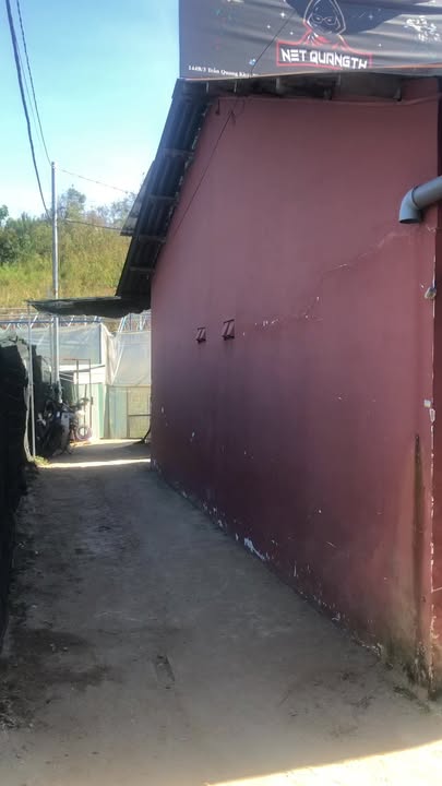 Đất Hẻm 36 Trần Quang Khải, Đà Lạt 300m² Giá 9.8 Tỷ - Đầu tư sinh lời ngay!