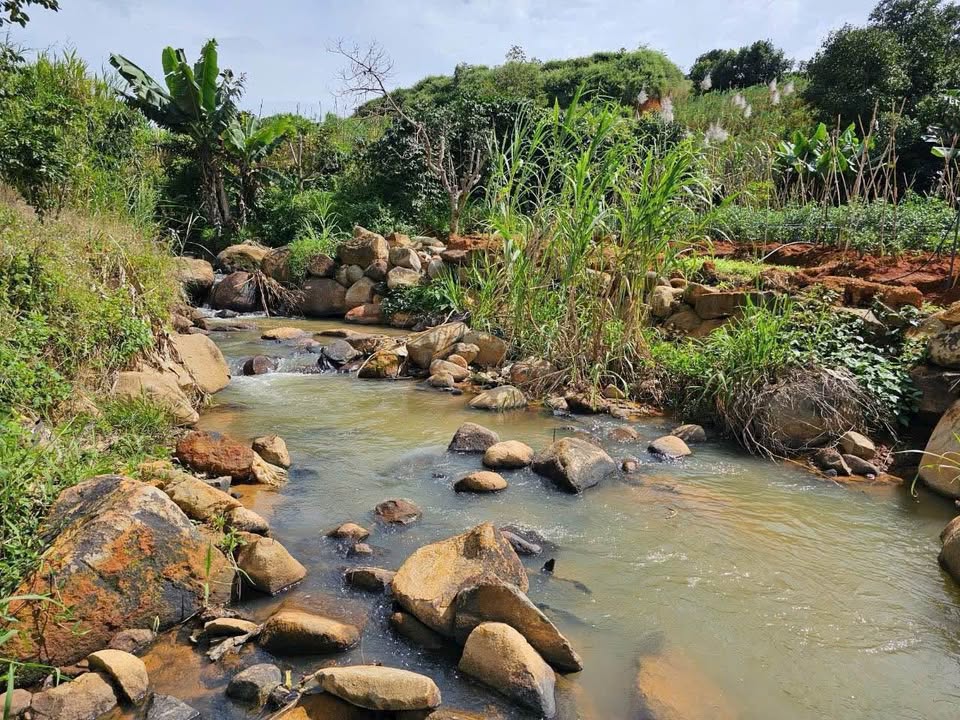 Đất nền phường Xuân Trường Đà Lạt 5000m² giá 1.8 tỷ - Sổ riêng, đầu tư sinh lời!