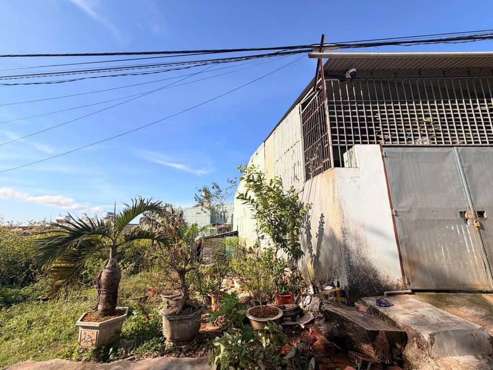 Đất thổ cư hẻm 124 Trần Nhật Duật, Diên Hồng 76.5m² - Đầu tư sinh lời ngay!