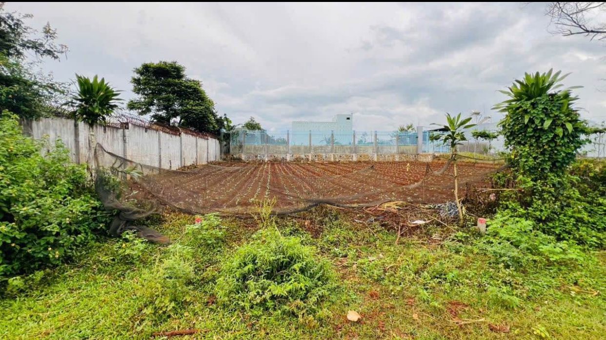 Đất nền liền kề Bùi Viện, An Phú, 130m² giá 400 triệu - Đầu tư sinh lời tuyệt vời!