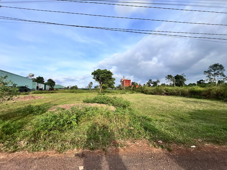 Đất nền đường Nguyễn Chí Thanh, An Phú, Pleiku 150m² chỉ 500 triệu - Đầu tư sinh lời ngay!