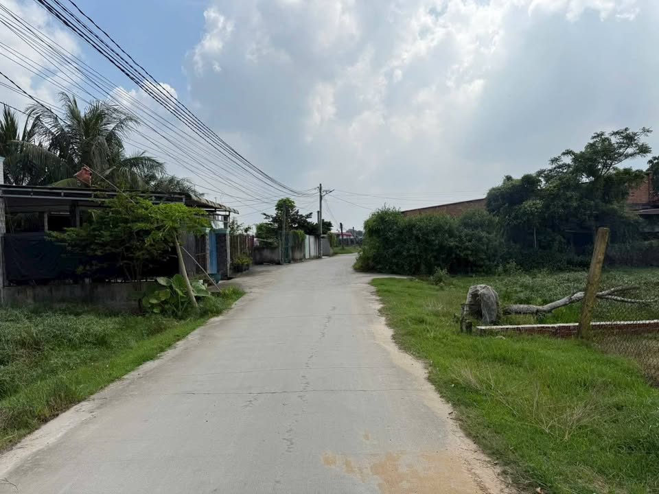 Đất nền ấp Nhơn Hòa, Đức Hòa 175m² chỉ 1.5 tỷ - Cơ hội đầu tư hấp dẫn!