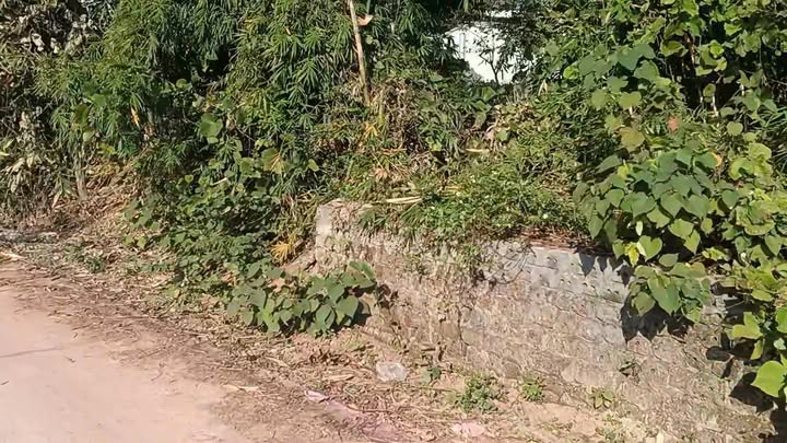 Đất ở Tân Hiệp, Yên Thế, Bắc Giang 161m² chỉ 400 triệu - View hồ đẹp, dân cư đông đúc!