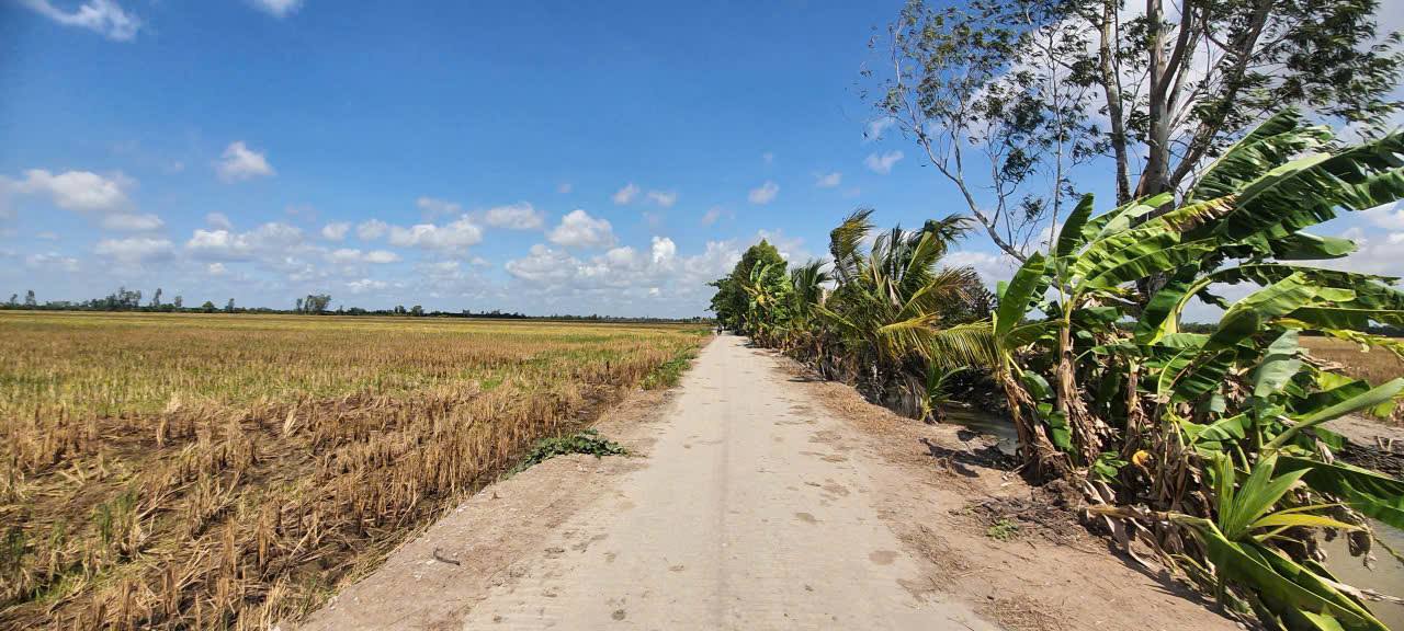 Đất lúa đẹp 65.000m² xã Phú Đức, giá chỉ 8.45 tỷ - Cơ hội đầu tư tuyệt vời!