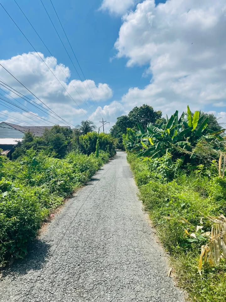 Đất nền mặt tiền đường nhựa xã Bình Thành, Đồng Tháp 600m² giá 750 triệu - Đầu tư sinh lời!