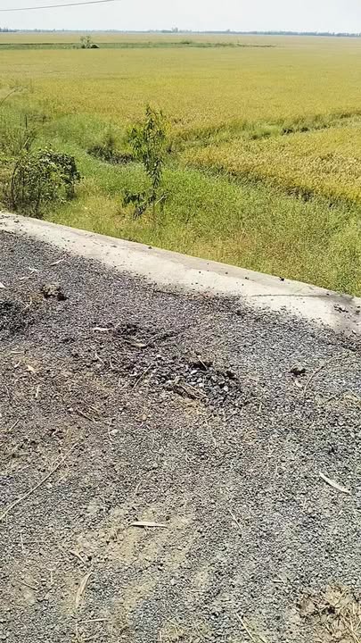 Đất thổ cư Tân Công Sính 3.600.000m² giá 180 tỷ - Tiềm năng nghỉ dưỡng và trang trại!