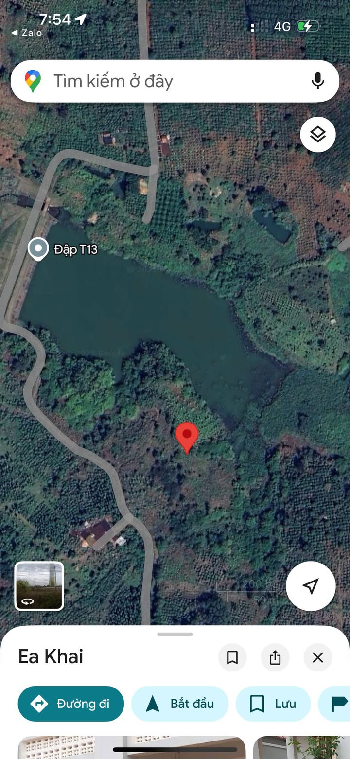 Đất nền 2 héc tại Thôn EaKhal, Ea H'leo, Đắk Lắk - Giá 1.5 tỷ, cơ hội đầu tư hấp dẫn!