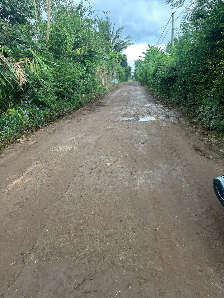 Đất nền Ea Phê, Krông Pắc 234m² giá chỉ 600 triệu - Mặt tiền kinh doanh lý tưởng!