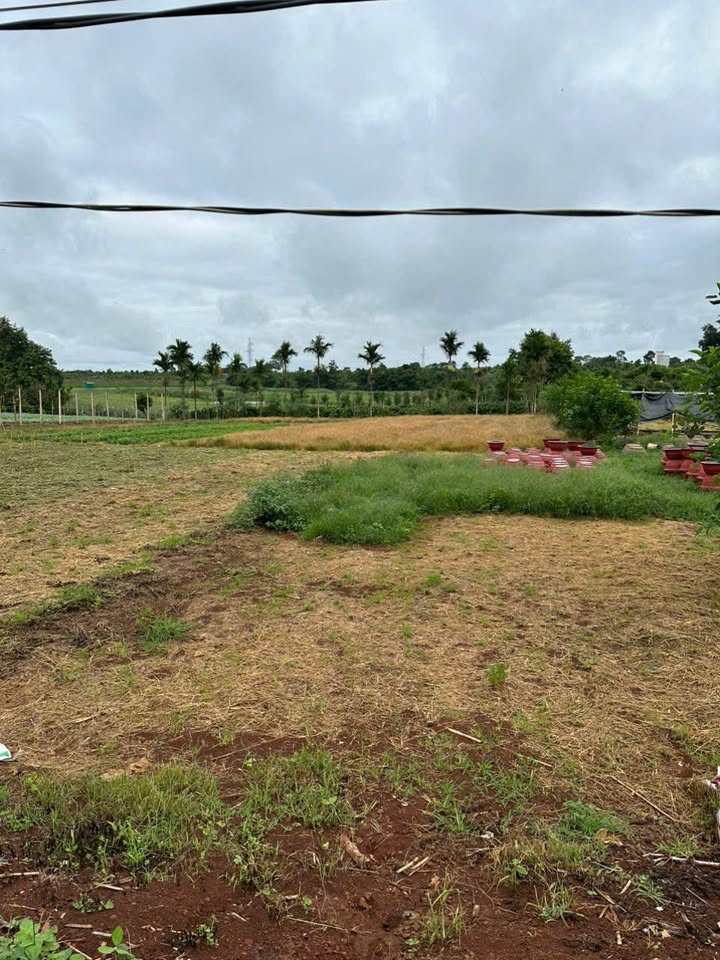 Đất thổ cư Phú Xuân, Ea Kar 560m² giá 599 triệu - Cơ hội đầu tư tuyệt vời!