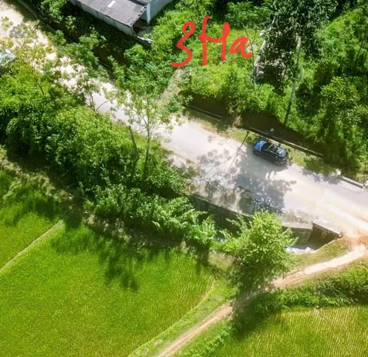 Đất nền thôn Chợ Chùa, Na Rì, Bắc Kạn 500m² giá 1.1 tỷ - Sẵn nhà cấp 4 ở ngay!