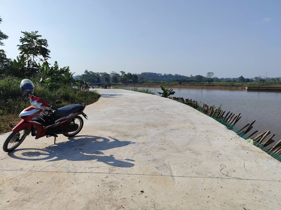 Đất thổ cư 109m² tại khu 7 Thanh Đình - Giá chỉ 800 triệu, vị trí đẹp!