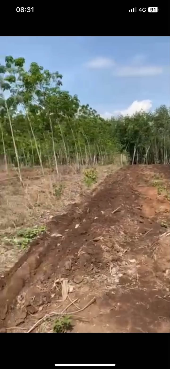 Đất thổ cư Tổ 1, phường Ngô Mây, 250m² chỉ 100 triệu - Cơ hội đầu tư tuyệt vời!