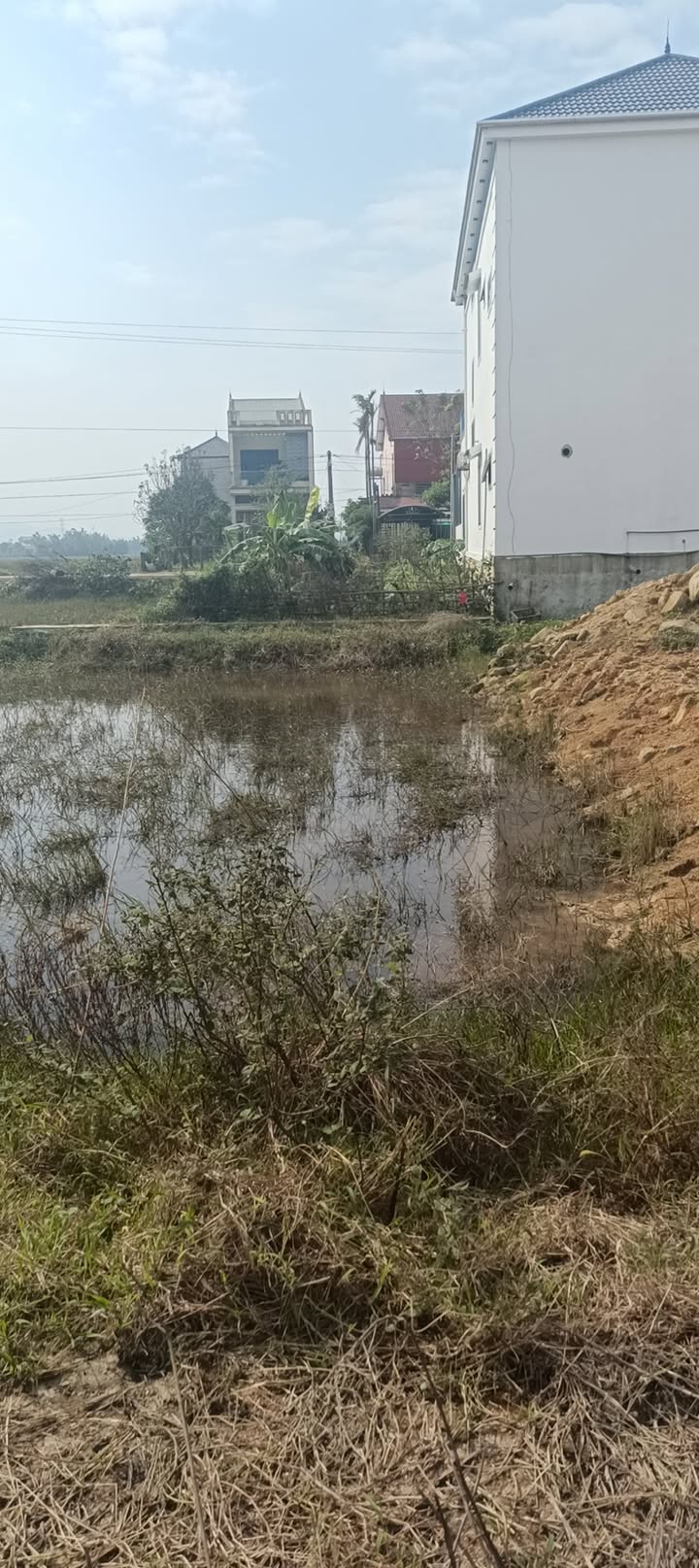 Đất nền Cẩm Sơn, Cẩm Xuyên 200m² - Đường bê tông, dân cư trẻ, gần dịch vụ