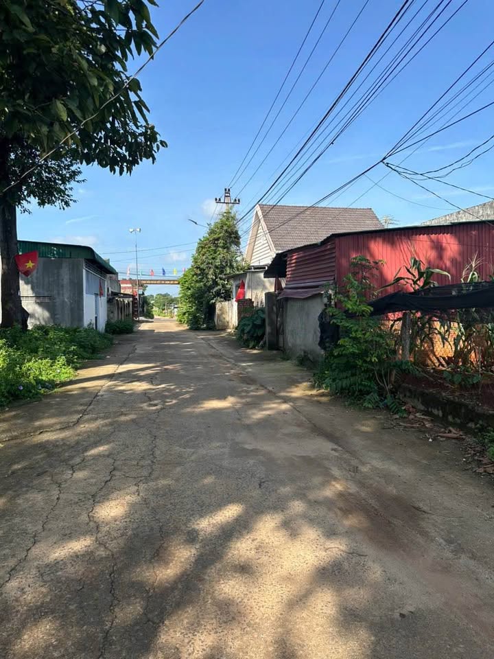 Đất thổ cư Ea Kao 500m² giá 2 tỷ - Xây nhà vườn lý tưởng!