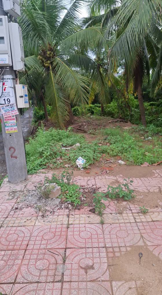 Đất nền góc 2 mặt tiền tại phường Nhị Mỹ, Cai Lậy - 81.5m² chỉ 2.05 tỷ