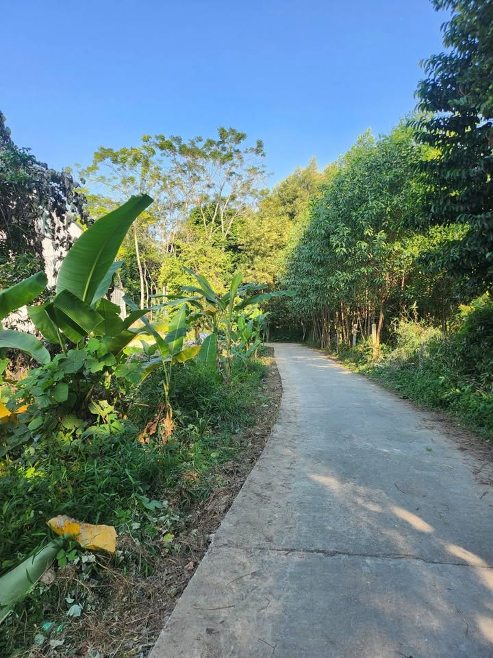 Đất thổ cư Ỷ La Tuyên Quang 188m² giá chỉ 2 tỷ - Gần đường Tiên Lũng!