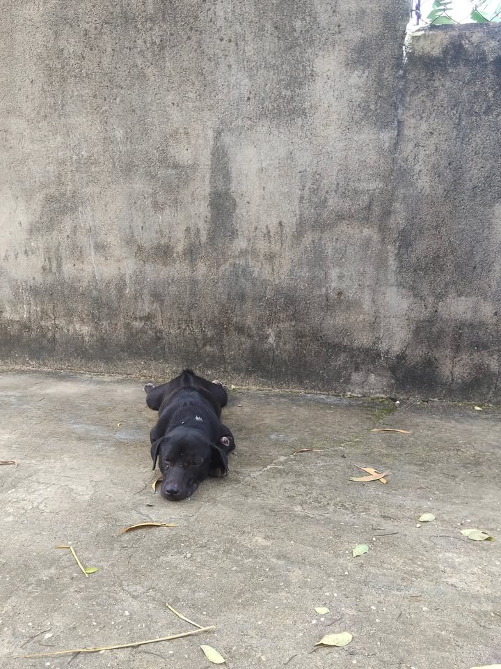 Đất nền 100m² tại ấp Thanh Minh, Nhơn Trạch - Giá chỉ 12 triệu/m²