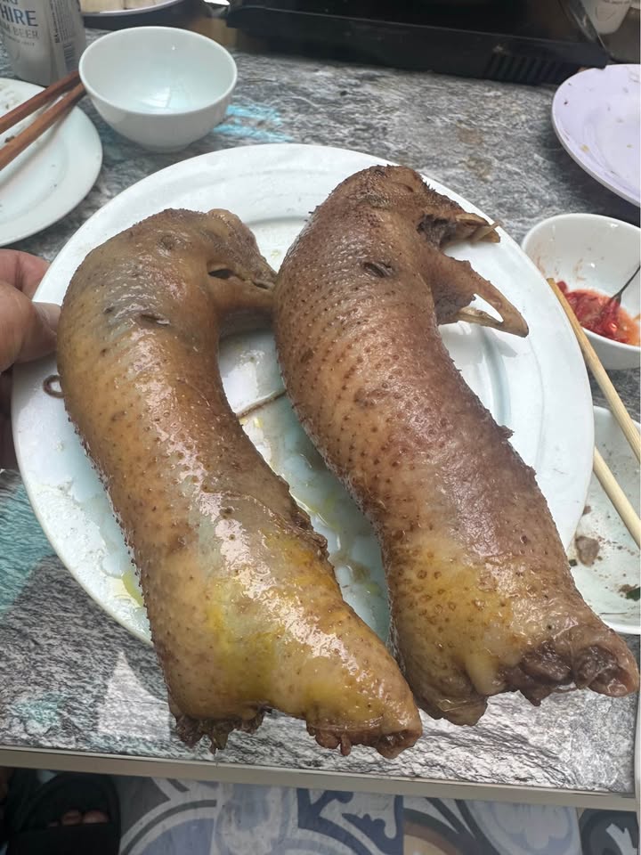 Đất mặt đường EC Hùng Thắng, Hạ Long 117m² giá 5x triệu - Đầu tư lý tưởng!