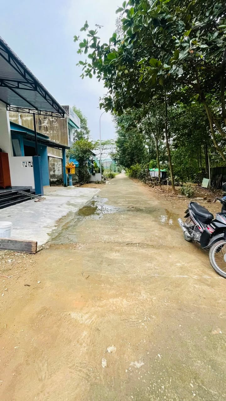 Đất nền chính chủ tại trung tâm TX. Quảng Trị 91.2m² giá 600 triệu - Đầu tư sinh lời ngay!