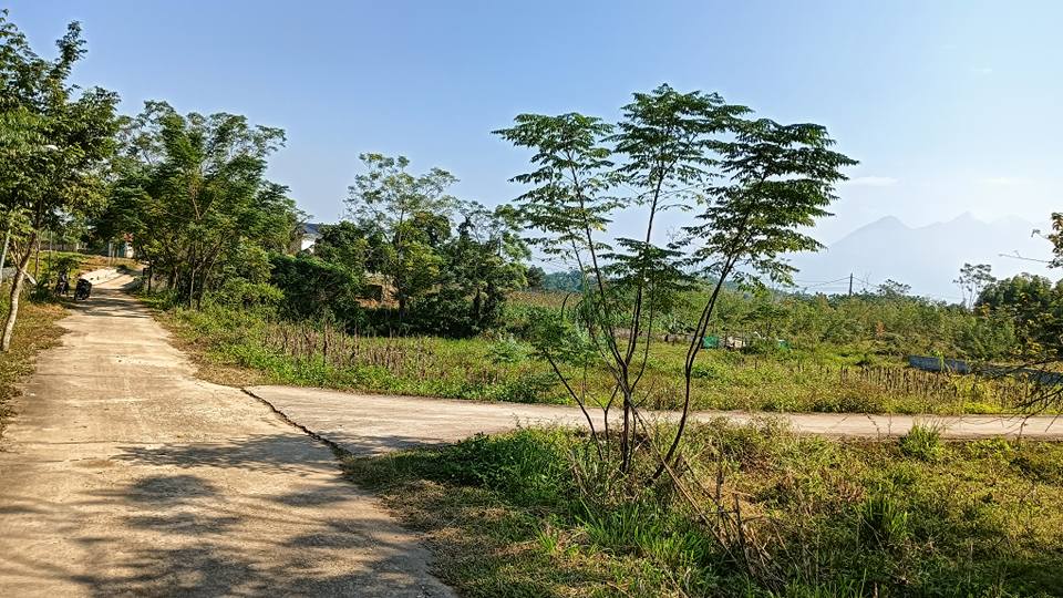 Đất thổ cư 300m² và đất trồng cây lâu năm 1000m² tại xã Tu Vũ, Phú Thọ - Giá thỏa thuận hấp dẫn!