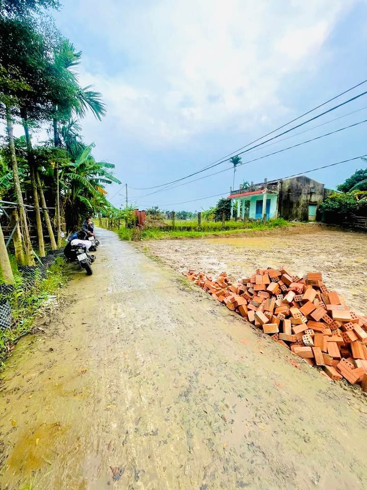 Đất ở Điện Hồng 130m² giá 690 triệu - Đường ô tô tận nơi, pháp lý rõ ràng!