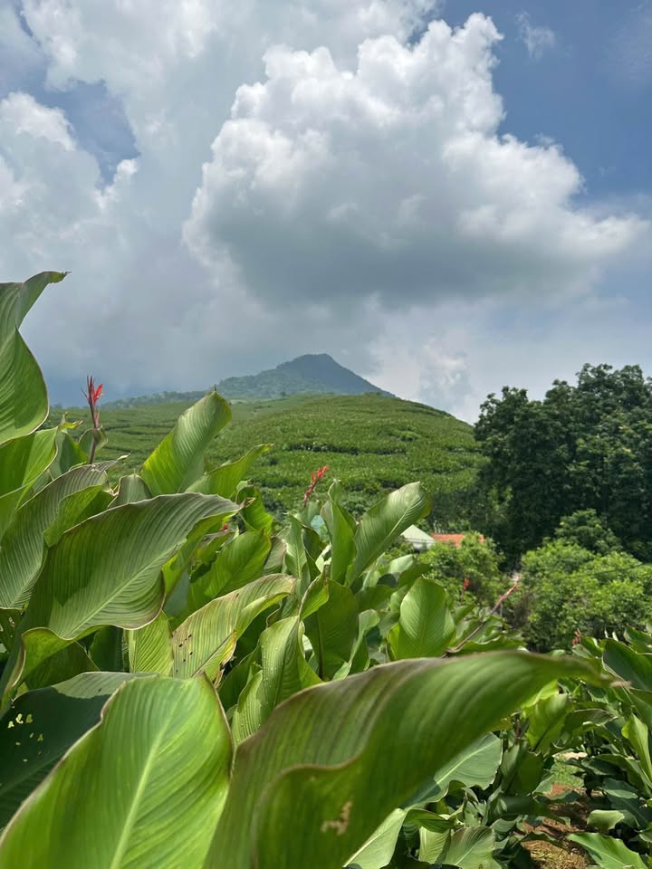 Đất nền Minh Quang Ba Vì 1080m² giá 2 tỷ - View đẹp, nghỉ dưỡng lý tưởng!