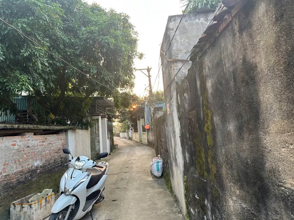 Đất nền Đông Cương 60m² giá chỉ 800 triệu - Cơ hội đầu tư tuyệt vời!