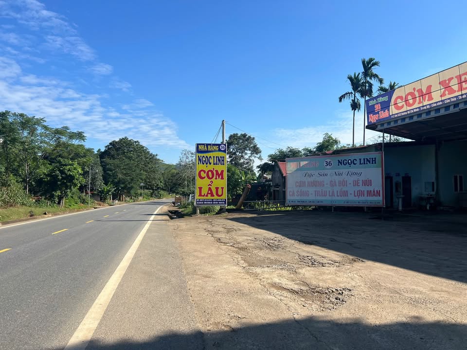 Đất nông nghiệp 1565m² tại Cẩm Châu - Bán gấp, tặng nhà hàng đang hoạt động!