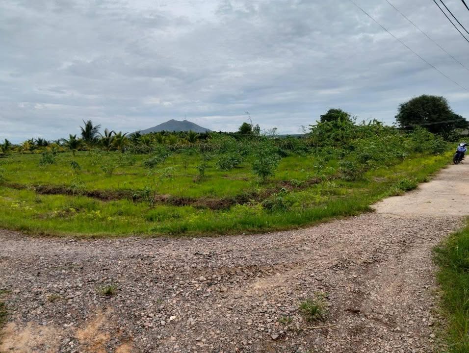 Đất thổ cư 2.1 sào tại Hàm Đức, giá 1.1 tỷ - Sổ hồng riêng, đầu tư sinh lời!