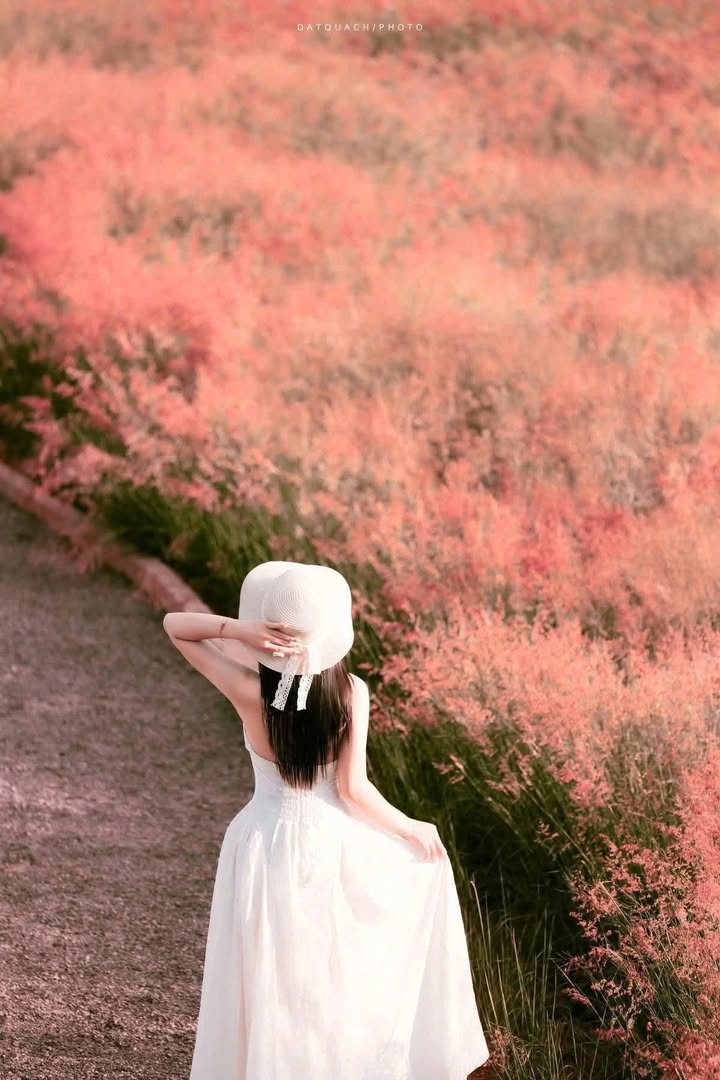 Đất thổ cư Hàm Liêm 200m² giá 430 triệu - Sổ đỏ chính chủ, ô tô vào thoải mái!