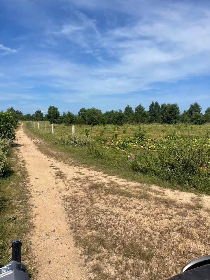 Đất nền Mũi Né 2555m² giá 2.75 tỷ - Đầu tư sinh lời cao!